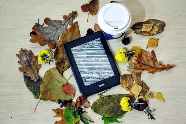 kindle, pepper white, reading, coffee, technology, digital, electronic, book, e-book, tablet, education, e-reader, literature, library, internet, screen, device, page, touch, autumn, leaves, decoration, atmosphere, fall, season, nature, natural, kindle, kindle, kindle, kindle, kindle. How to evaluate accessible technology
